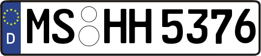 MS-HH5376