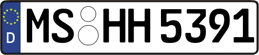 MS-HH5391