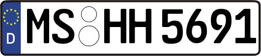 MS-HH5691
