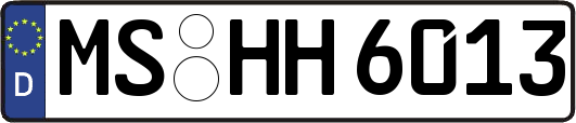 MS-HH6013
