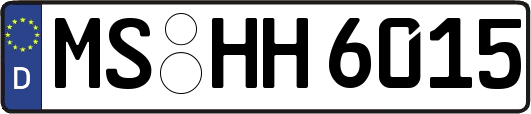 MS-HH6015