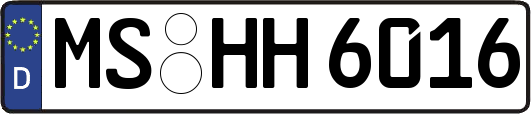MS-HH6016