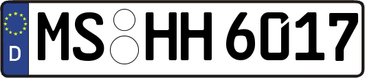 MS-HH6017