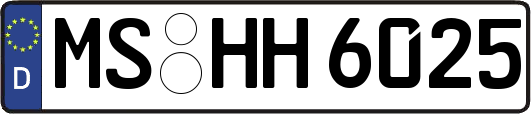 MS-HH6025