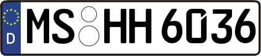 MS-HH6036