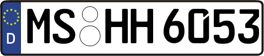 MS-HH6053