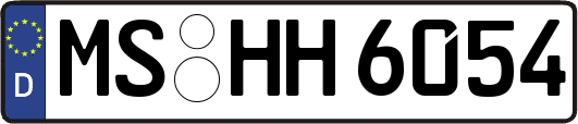MS-HH6054