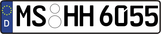 MS-HH6055
