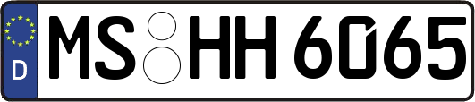 MS-HH6065