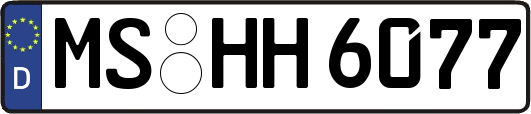 MS-HH6077