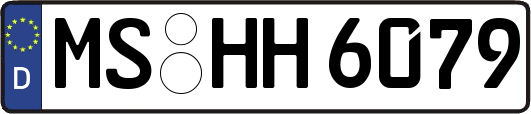 MS-HH6079