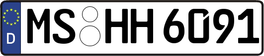 MS-HH6091