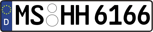MS-HH6166