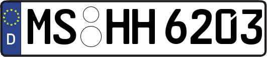 MS-HH6203