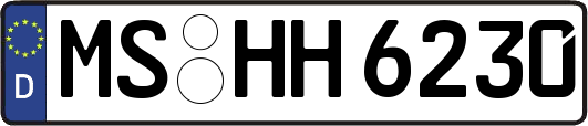 MS-HH6230
