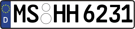 MS-HH6231