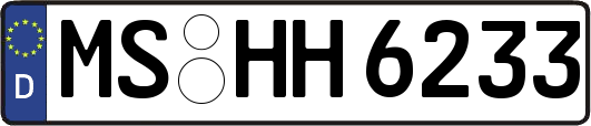 MS-HH6233