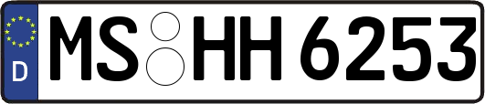 MS-HH6253