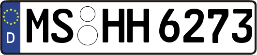 MS-HH6273