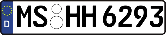 MS-HH6293