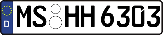 MS-HH6303