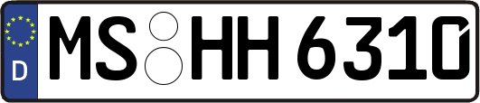 MS-HH6310