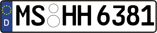 MS-HH6381