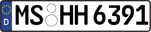 MS-HH6391