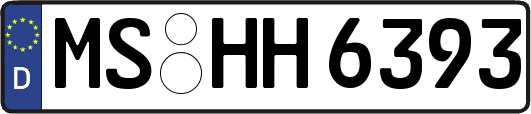 MS-HH6393