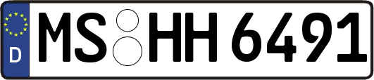MS-HH6491