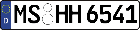 MS-HH6541
