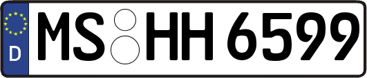 MS-HH6599