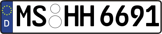 MS-HH6691
