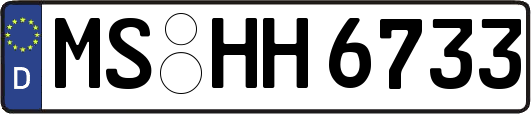 MS-HH6733