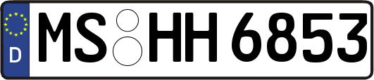 MS-HH6853
