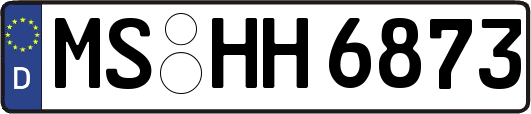 MS-HH6873