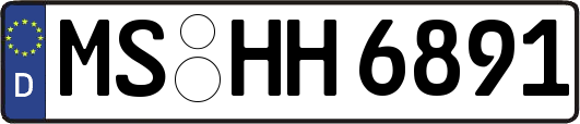 MS-HH6891