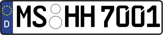 MS-HH7001