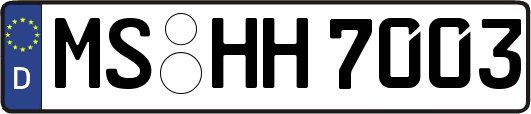 MS-HH7003