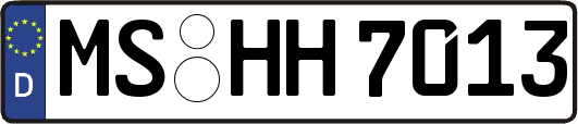 MS-HH7013