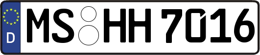 MS-HH7016