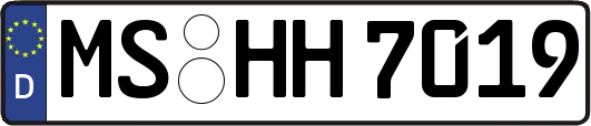 MS-HH7019