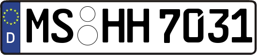 MS-HH7031