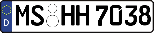 MS-HH7038