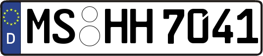MS-HH7041