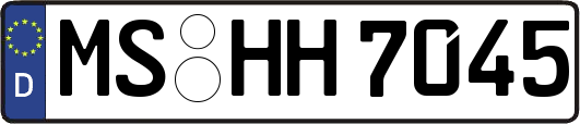 MS-HH7045