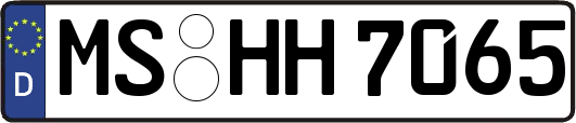 MS-HH7065