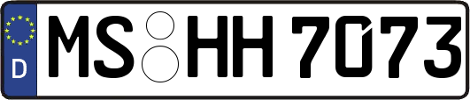 MS-HH7073