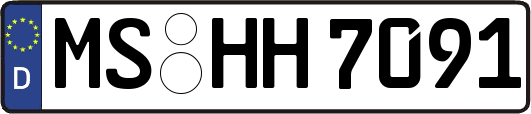 MS-HH7091