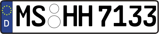 MS-HH7133